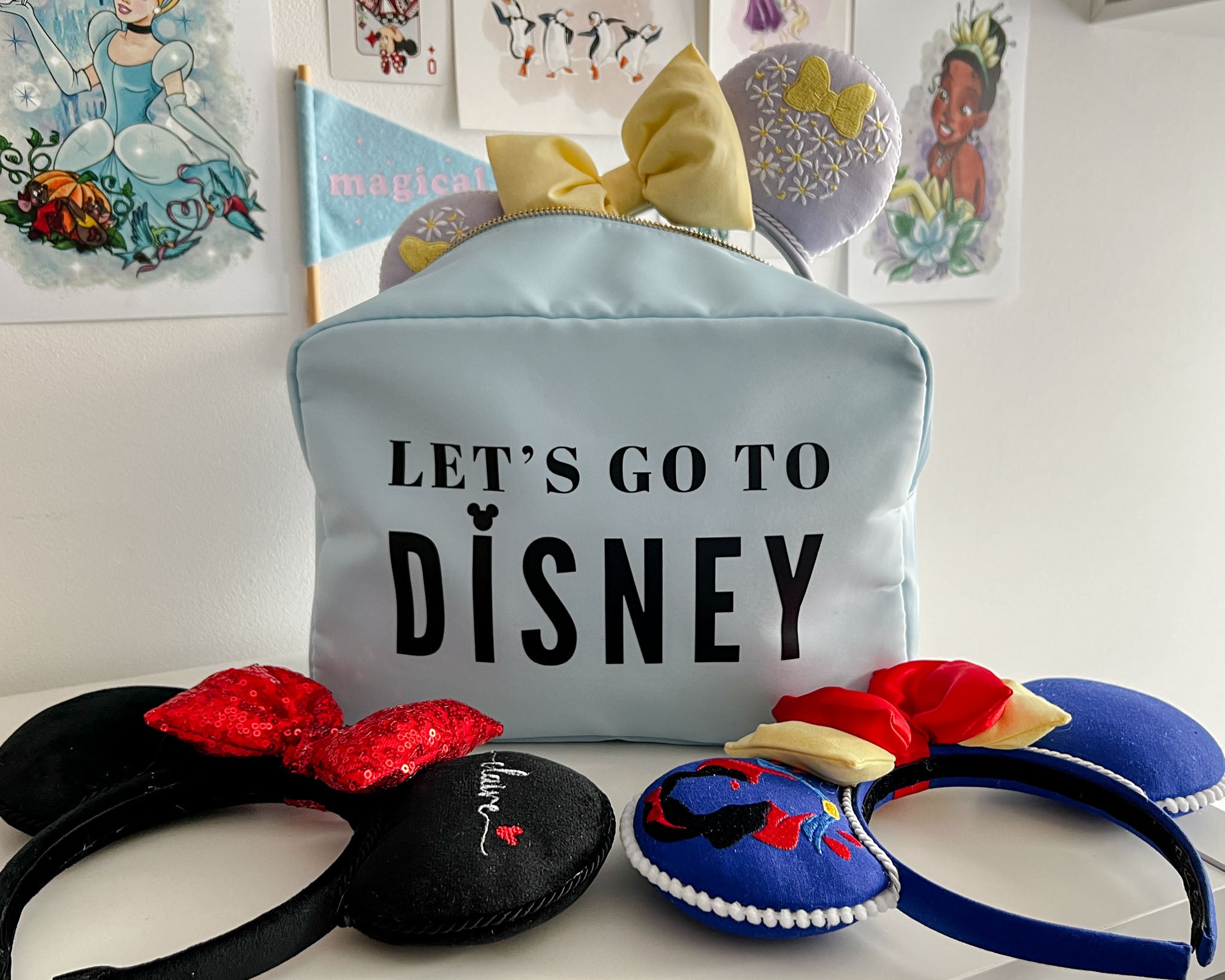 Ear Travel Bag - Blue